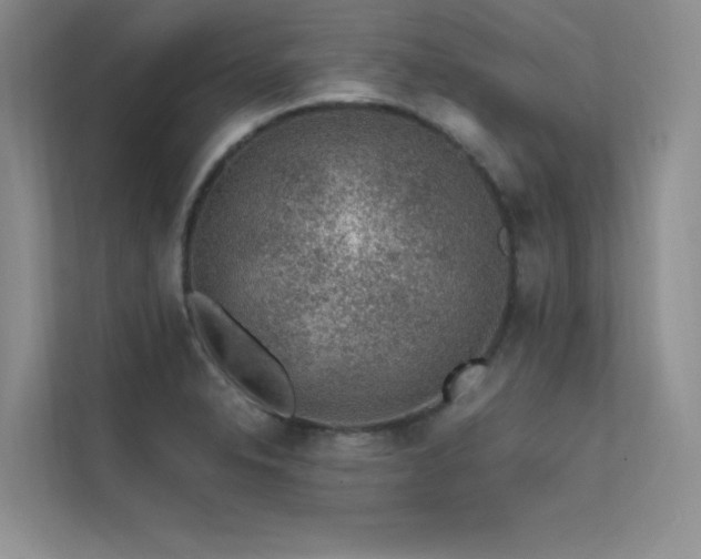 X0000112381326200908131521