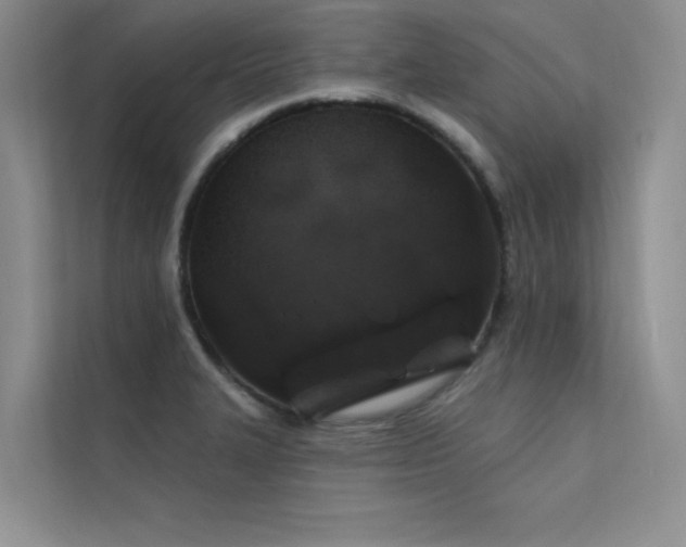 X0000112381327200908131521