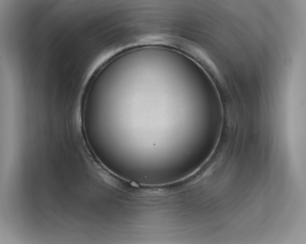 X0000112381328200908131521