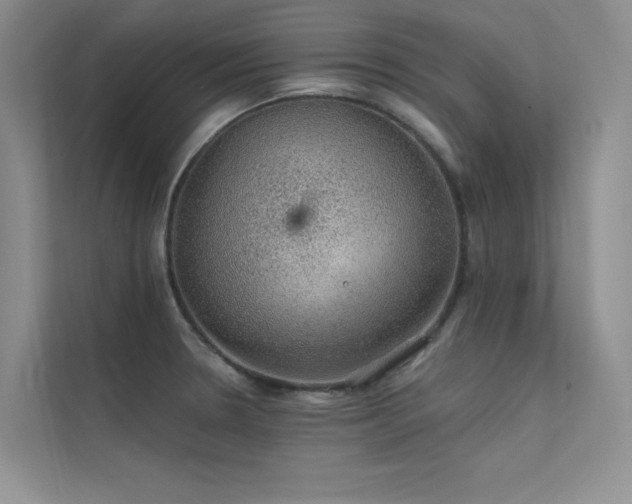 X0000112381330200908131521