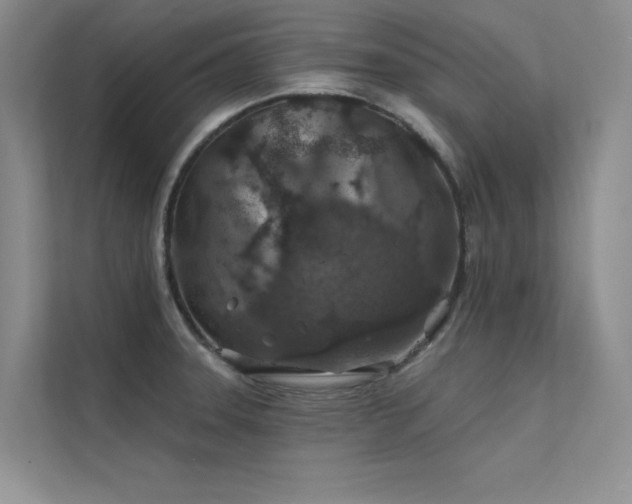 X0000112381331200908131521