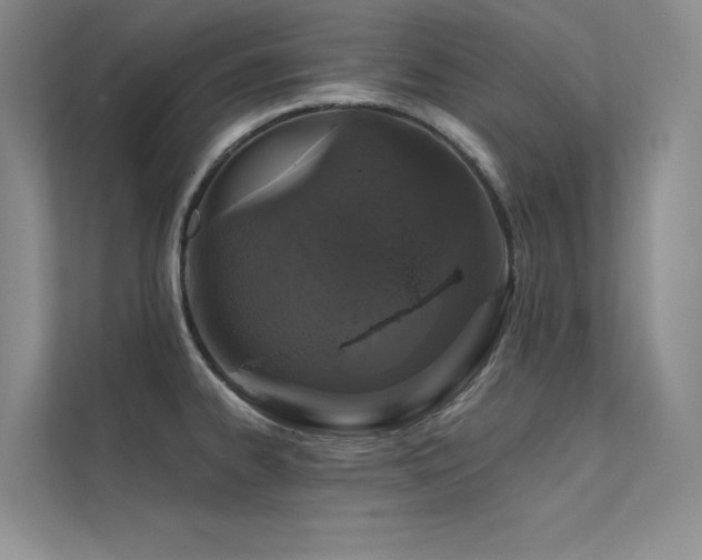 X0000112381334200908131521