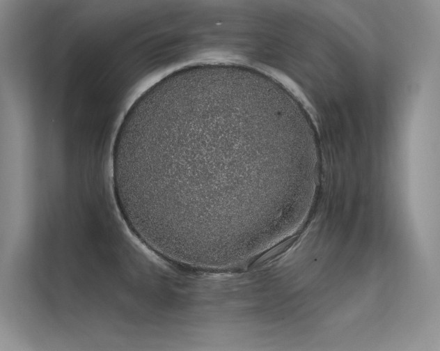 X0000112381335200908131521