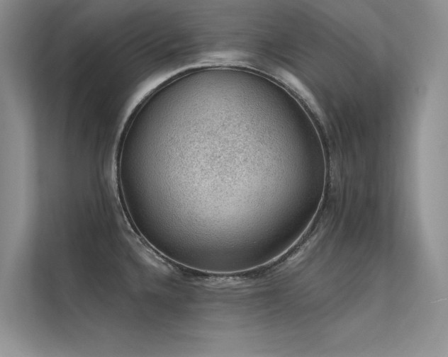 X0000112381336200908131521