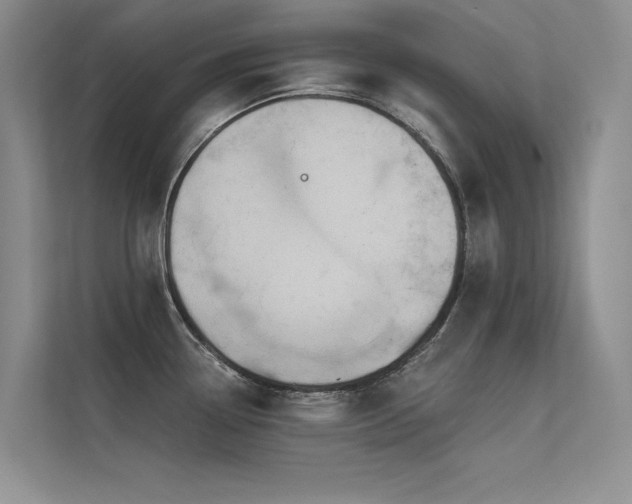 X0000112381338200908131521