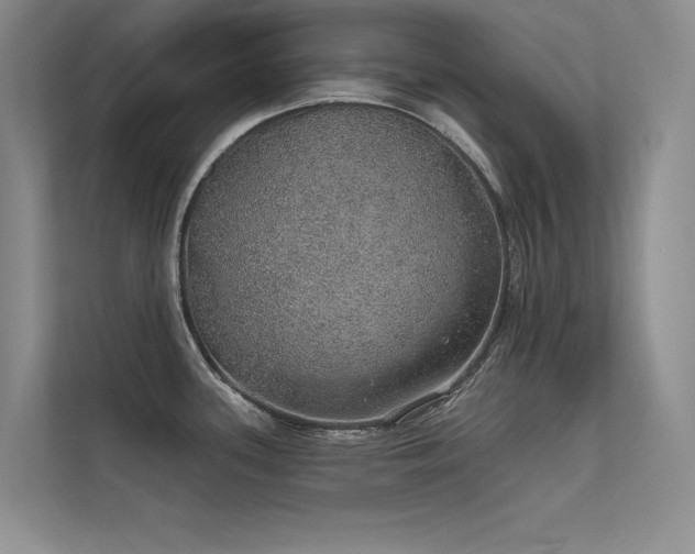 X0000112381339200908131521