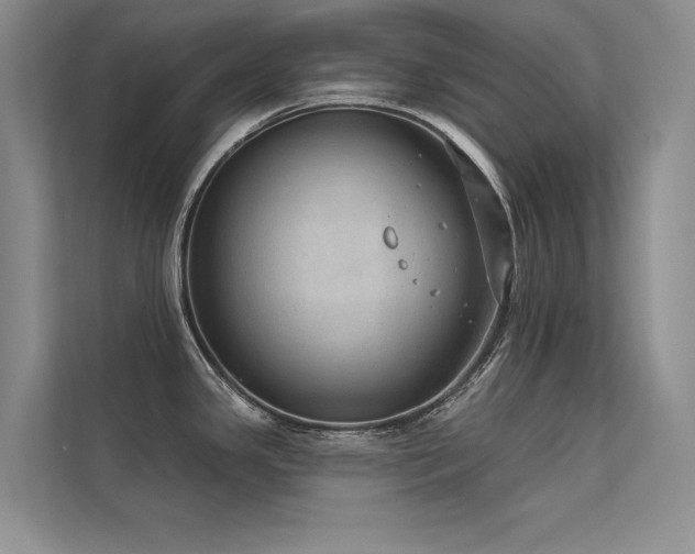 X0000112381341200908131521