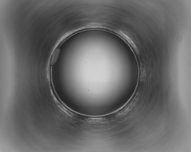 X0000112381342200908131521