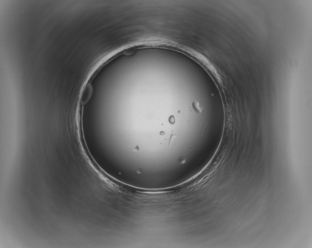 X0000112381343200908131521