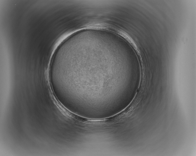 X0000112381344200908131521