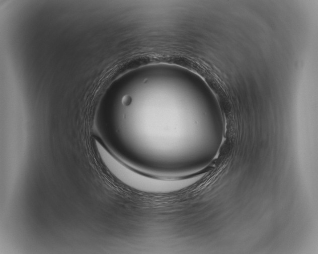 X0000112381345200908131521