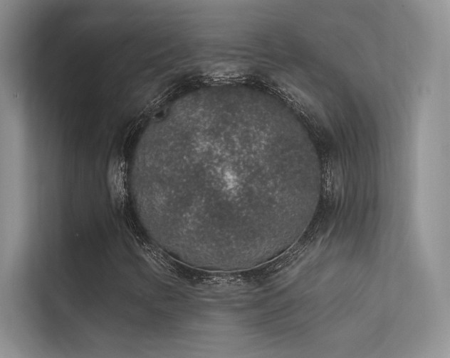 X0000112381346200908131521