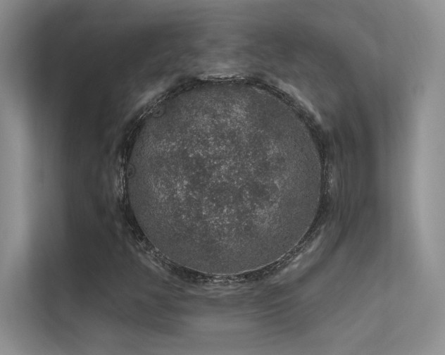 X0000112381350200908131521