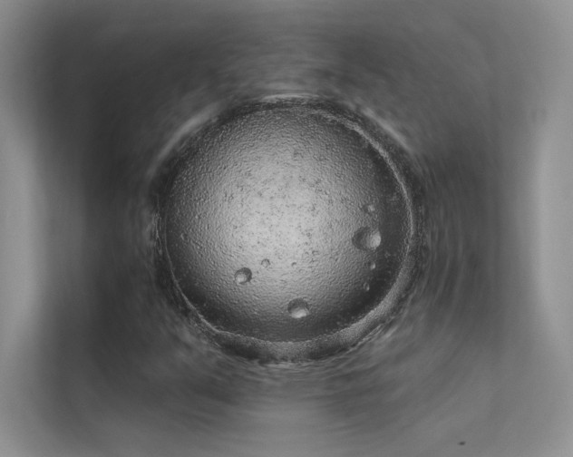 X0000112381351200908131521