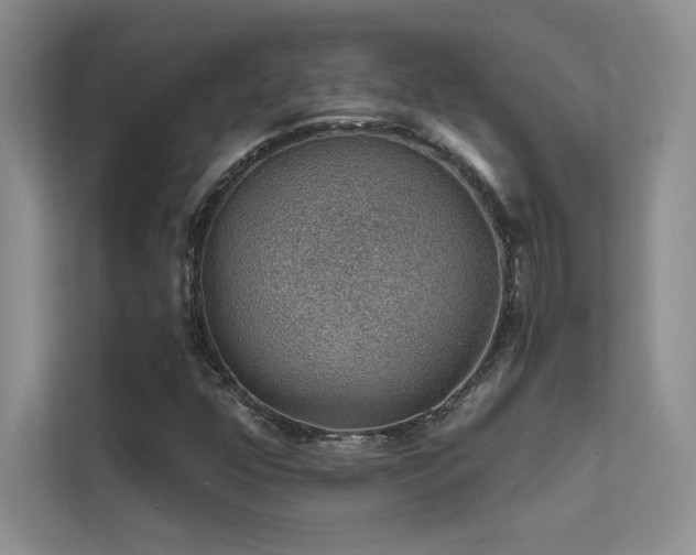 X0000112381352200908131521