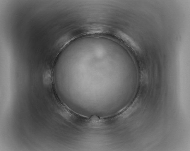 X0000112381353200908131521