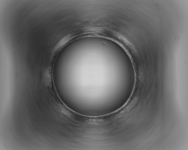 X0000112381354200908131521