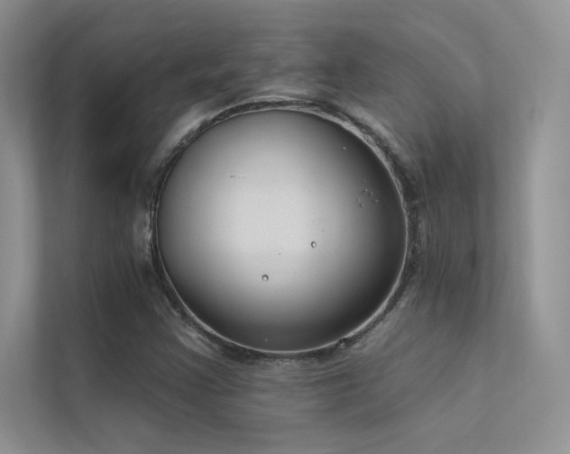 X0000112381355200908131520