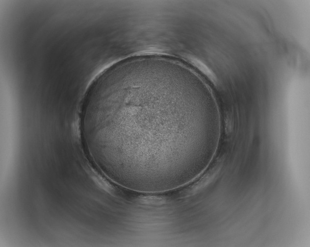 X0000112381356200908131520