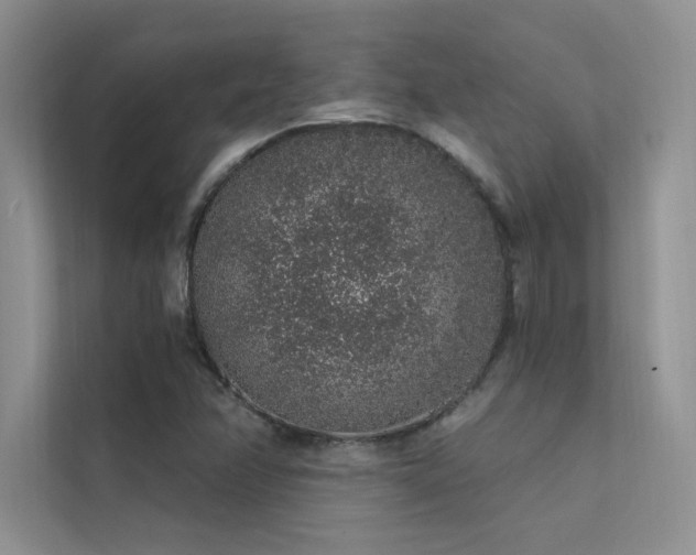 X0000112381358200908131520