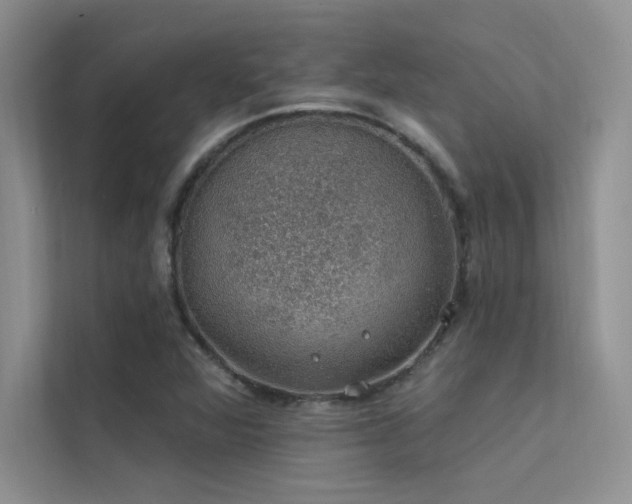 X0000112381360200908131520