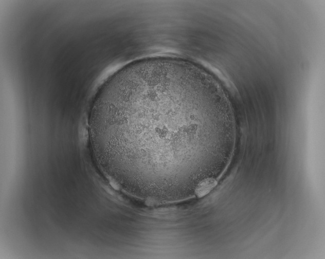 X0000112381363200908131520