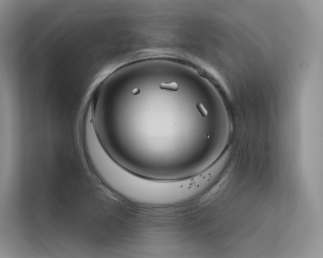 X0000112381365200908131520