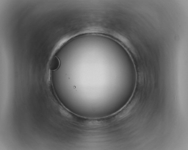 X0000112381366200908131520