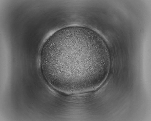 X0000112381367200908131520