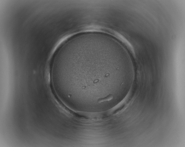 X0000112381368200908131520