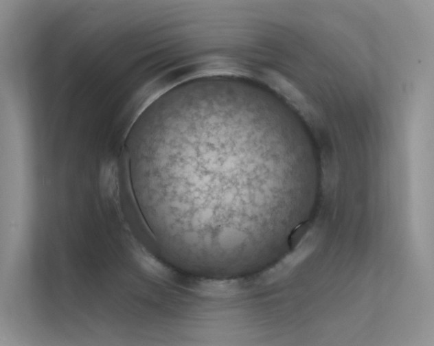 X0000112381369200908131520