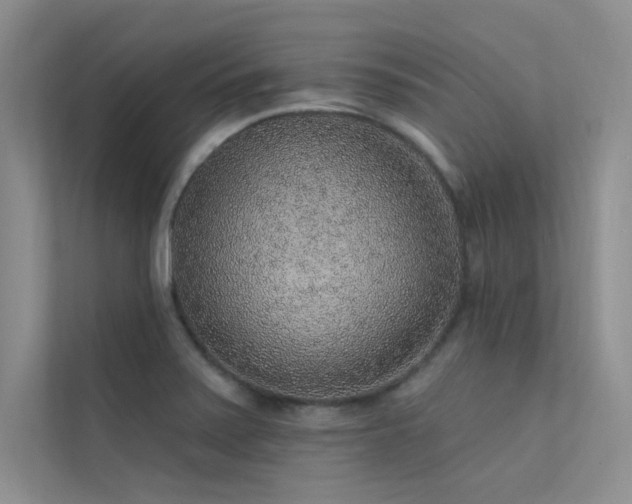 X0000112381371200908131520