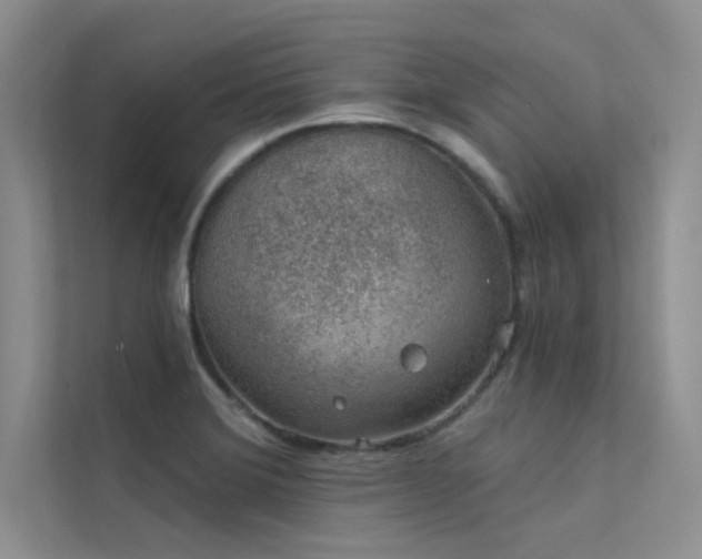 X0000112381372200908131520