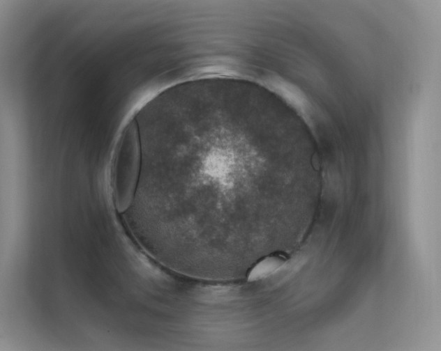 X0000112381373200908131520