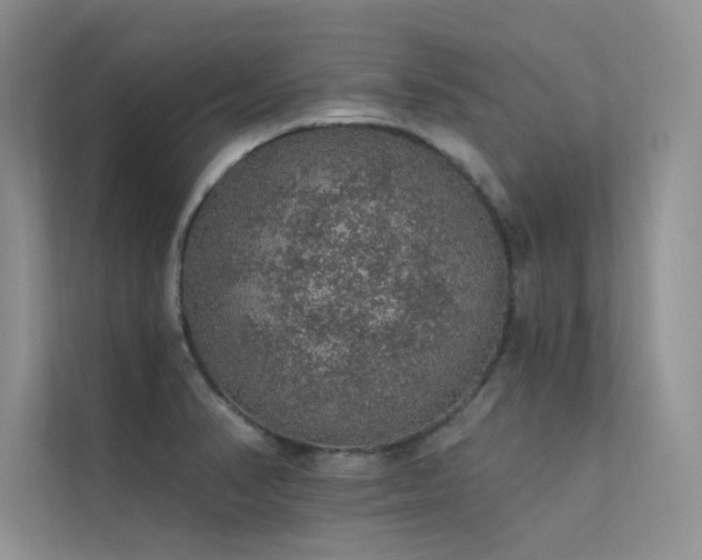 X0000112381374200908131520