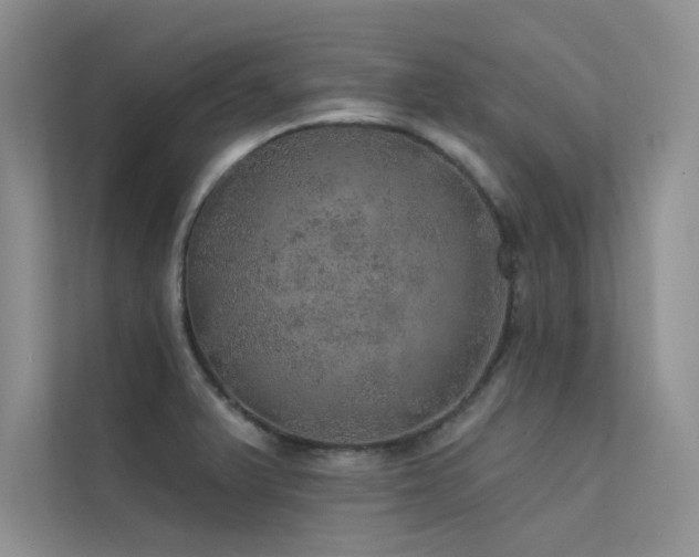 X0000112381375200908131520