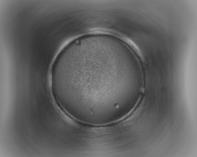 X0000112381376200908131520