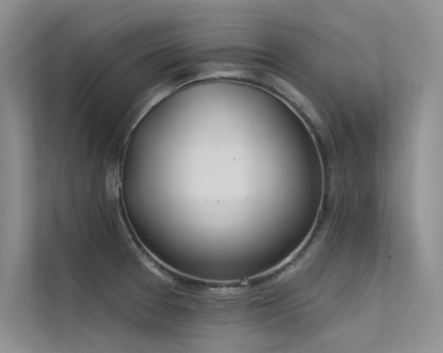 X0000112381377200908131520