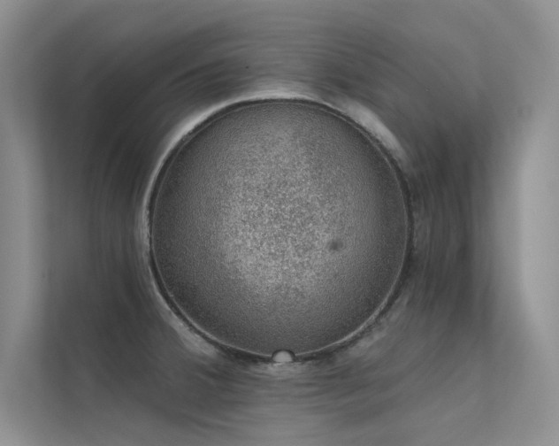 X0000112381380200908131520