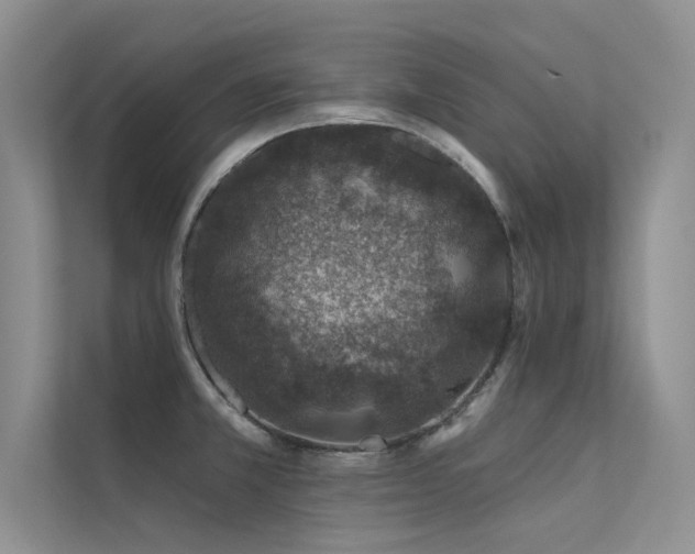 X0000112381381200908131520