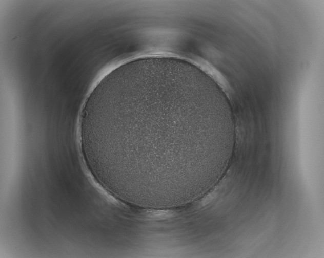 X0000112381382200908131520