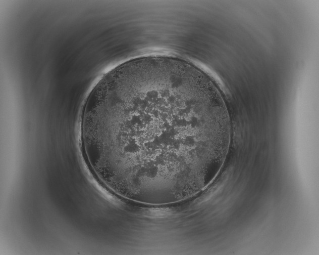 X0000112381383200908131520