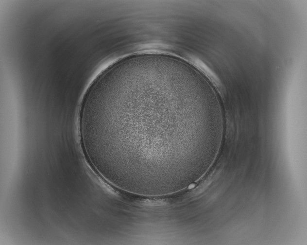 X0000112381384200908131520