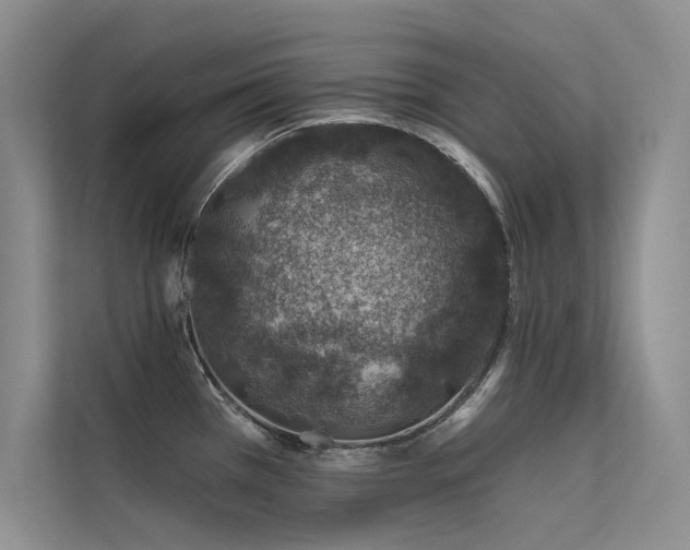 X0000112381385200908131520