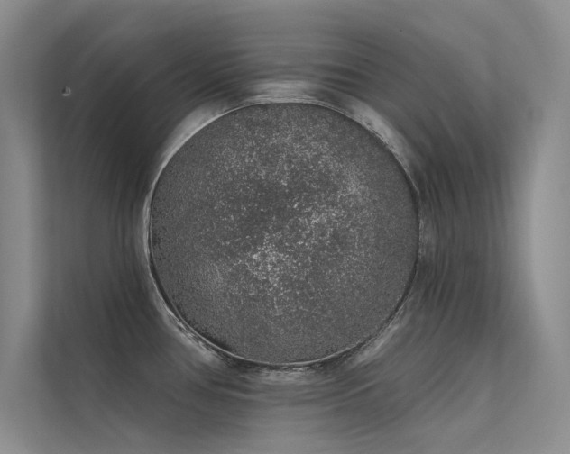 X0000112381386200908131520