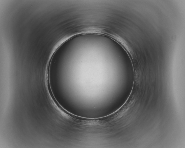 X0000112381387200908131520