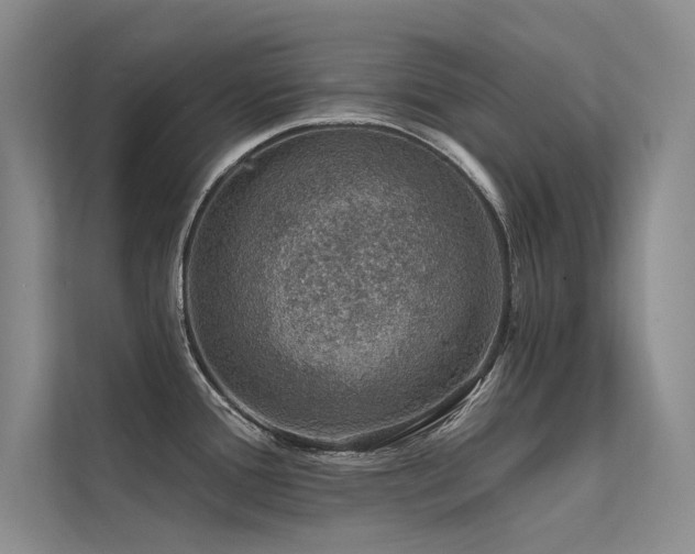 X0000112381388200908131520