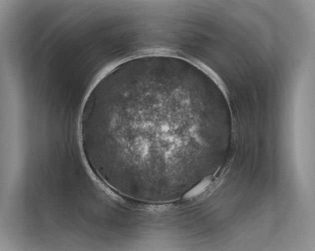 X0000112381389200908131520