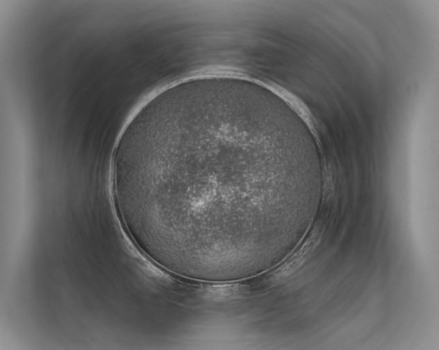 X0000112381390200908131520