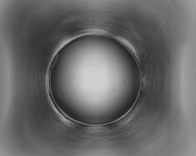 X0000112381391200908131520